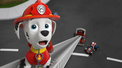 La Patrulla Canina - La patrulla salva las rocas espaciales / La patrulla salva a los Eddies y las Emmys