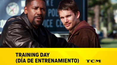 Imagen de Training Day (Día de entrenamiento) - 2
