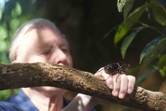 Imagen de La gran aventura de...: Ep.1 - 7