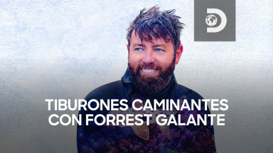 Imagen de Tiburones caminantes con Forrest Galante - 2