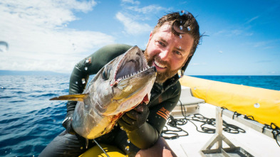 Imagen de Tiburones caminantes con Forrest Galante - 3