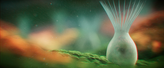 Imagen de La Tierra: Hielo - 15