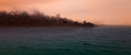 Imagen de La Tierra: Vegetación - 12