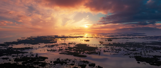 Imagen de La Tierra: Humanidad - 3