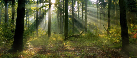 Imagen de La Tierra: Humanidad - 4