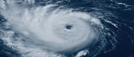 Imagen de La Tierra: Humanidad - 14