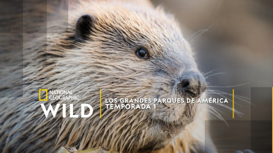 Los grandes parques de América 