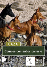 Imagen de Conejos con sabor canario - 1