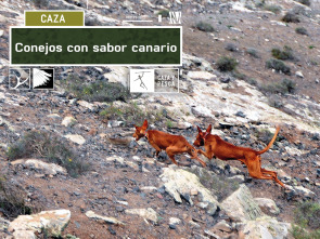 Imagen de Conejos con sabor canario - 2