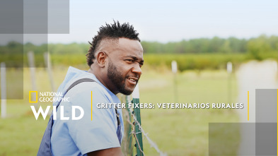 Imagen de Critter fixers: Veterinarios rurales: Barkfest: Un día de perros - 2