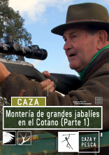 Imagen de Montería de grandes jabalíes en el Cotano. 1ª parte - 1