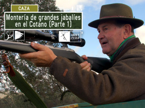 Imagen de Montería de grandes jabalíes en el Cotano. 1ª parte - 2