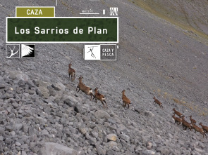 Imagen de Los sarrios de Plan - 2