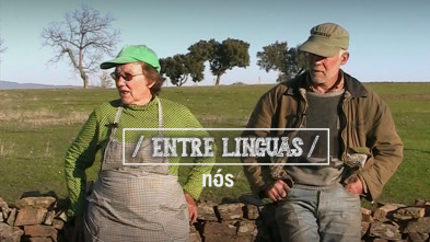 Imagen de Entre linguas - 2