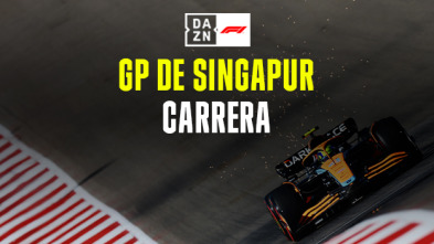 GP de Singapur (Marina...: GP de Singapur: Carrera