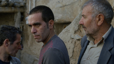 Imagen de Los osos no existen - 9