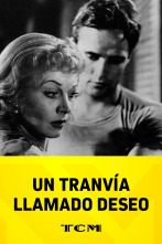 Imagen de Un tranvía llamado deseo - 1