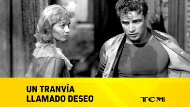 Imagen de Un tranvía llamado deseo - 2