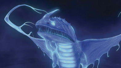 Dragones: Los Defensores de Mema - La ruta luminosa