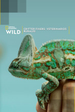Imagen de Critter fixers: Veterinarios rurales  - 2