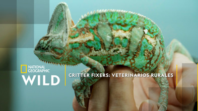 Imagen de Critter fixers: Veterinarios rurales  - 4