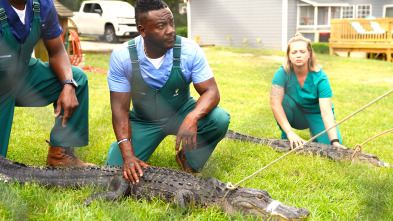 Imagen de Critter fixers: Veterinarios rurales  - 5