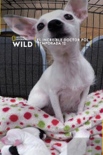 Imagen de El increíble doctor Pol  - 2