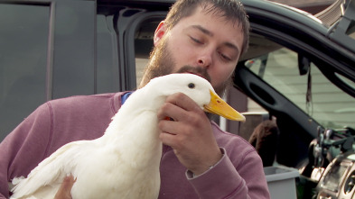 Imagen de El increíble doctor Pol: Una semana emocionante - 2
