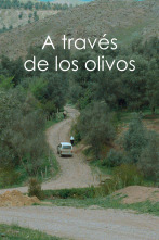 A través de los olivos