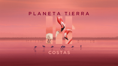 Planeta Tierra III - Costas