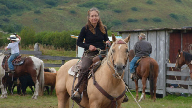 Imagen de Una veterinaria...: Este no es mi primer rodeo - 1