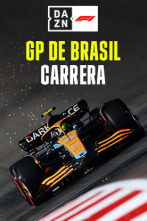 GP de Brasil (Sao Paulo): GP de Brasil: Carrera