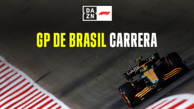 GP de Brasil (Sao Paulo): GP de Brasil: Carrera