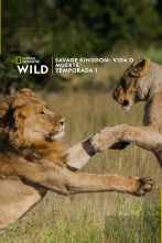 Imagen de Savage Kingdom: La armada rebelde - 1