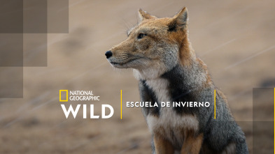 Imagen de Escuela de invierno - 2
