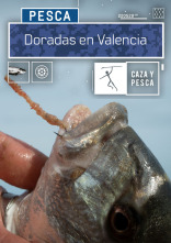 Imagen de Doradas en Valencia - 1