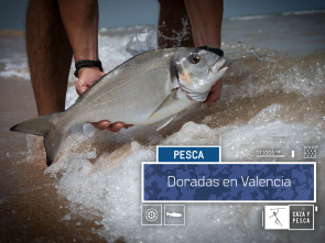 Imagen de Doradas en Valencia - 2
