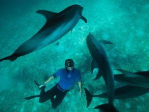 Imagen de Ballenas con Steve Backshall  - 5