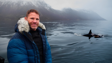 Imagen de Ballenas con Steve Backshall  - 7
