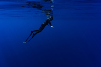 Ballenas con Steve Backshall 