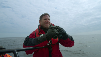 Ballenas con Steve...: Supervivientes