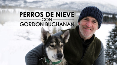 Perros de nieve con Gordon Buchanan