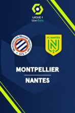 Jornada 31: Montpellier - Nantes