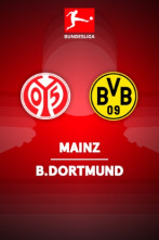 Jornada 33: Mainz - Borussia Dortmund
