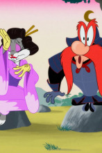Imagen de Looney Tunes... (T5): Guerra de migas / Gag del agujero: Mini-Bugs / Problemas en la obra - 1