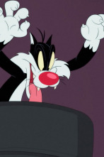 Imagen de Looney Tunes... (T5): El encargado de la piscina / Sacar al gato: Decoración de exteriores / Juego de cuchillos - 1