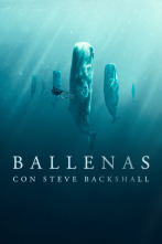 Imagen de Ballenas con Steve Backshall  - 1