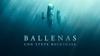 Ballenas con Steve Backshall 