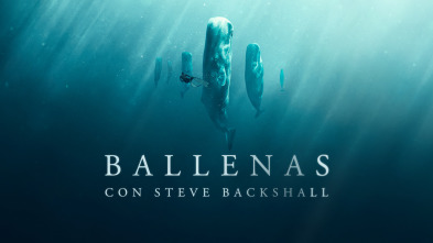 Imagen de Ballenas con Steve Backshall  - 2