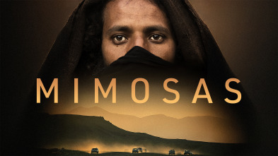 Imagen de Mimosas - 2